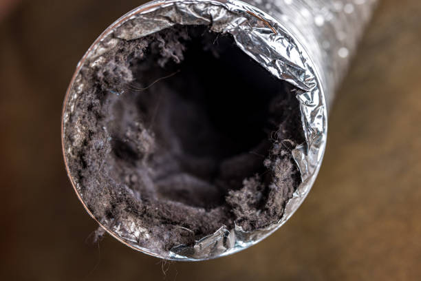 Best HVAC Duct Inspection Services  in Berea, SC