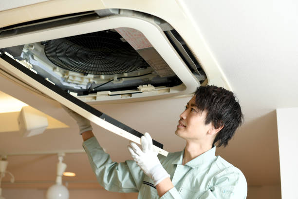 Best Local Air Duct Cleaning Services  in Berea, SC