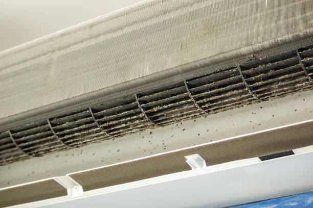 Best Ventilation Cleaning Services  in Berea, SC